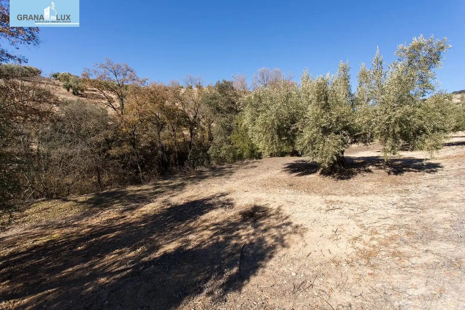 Land for sale in Campotéjar