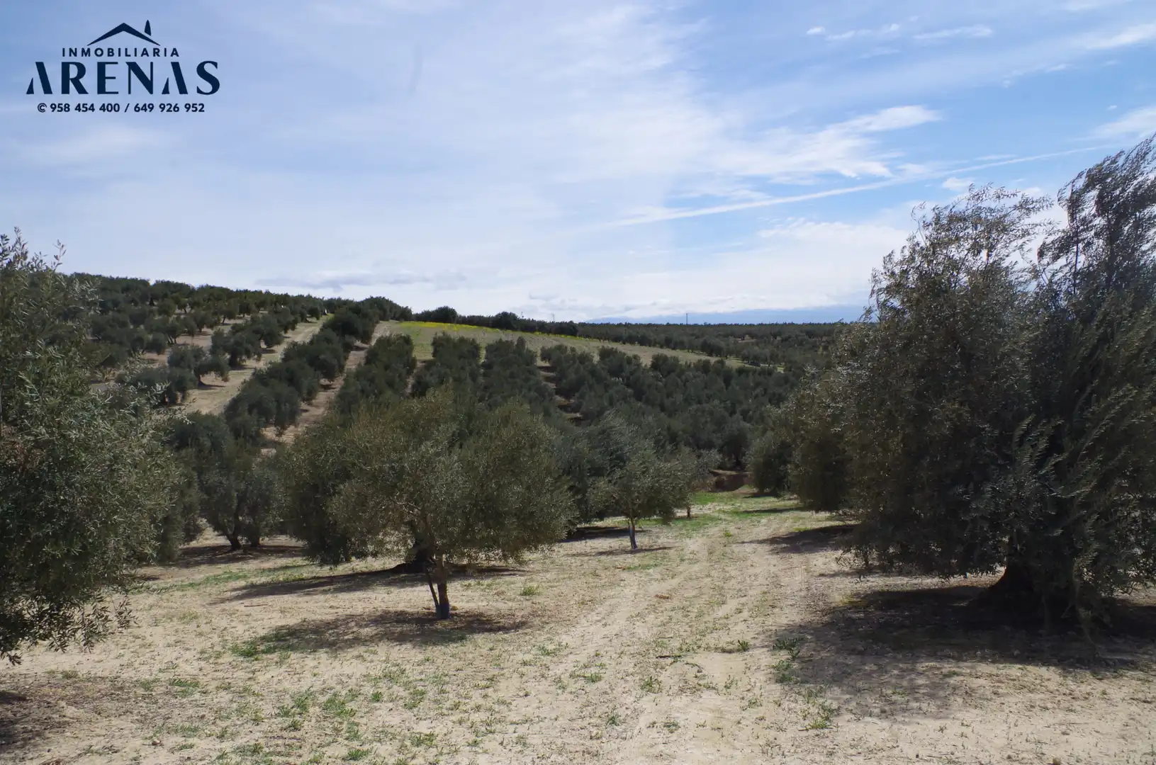 Residential land for sale in Íllora, imagen 4
