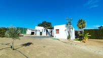 Exterior view of House or chalet for sale in  Huelva Capital  with Swimming Pool