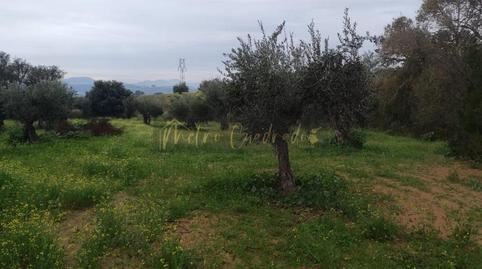 Foto 2 de Residencial en venta en Don Álvaro, Badajoz