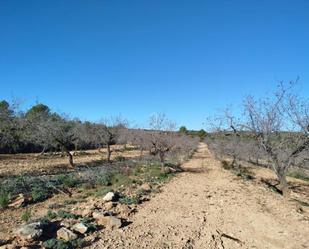 Land for sale in Vilanova d'Alcolea