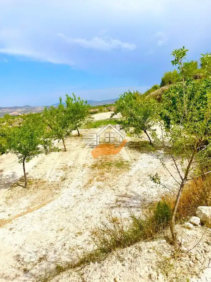 Lands and plots for sale in Vélez-Blanco