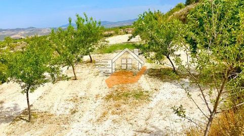 Terreno en venta en VélezBlanco.
