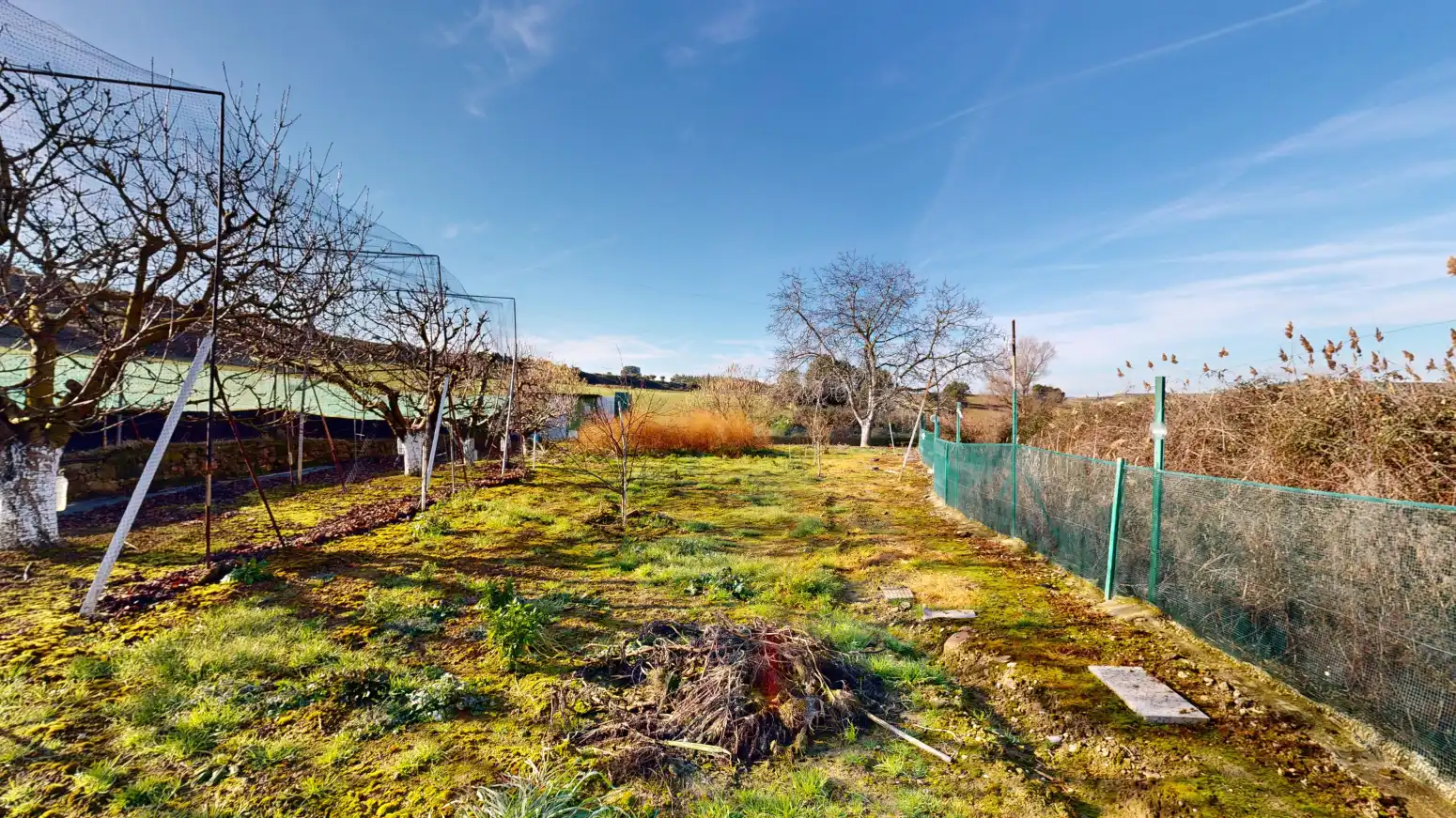 Rural land for sale in Tafalla - TERMINO JUNCAL, imagen 3