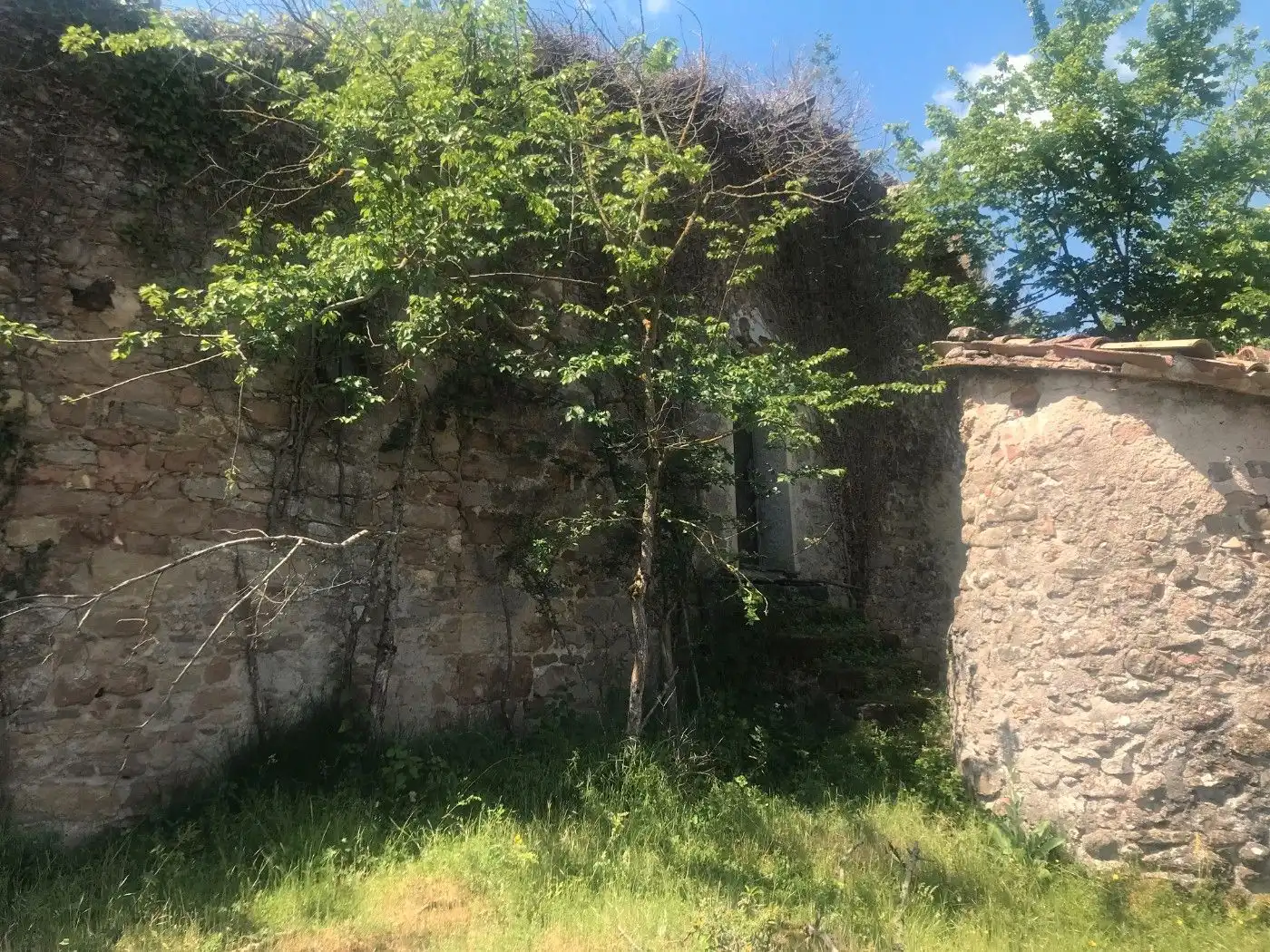 Wohnbaugrundstück zum Verkauf in Borredà, imagen 4