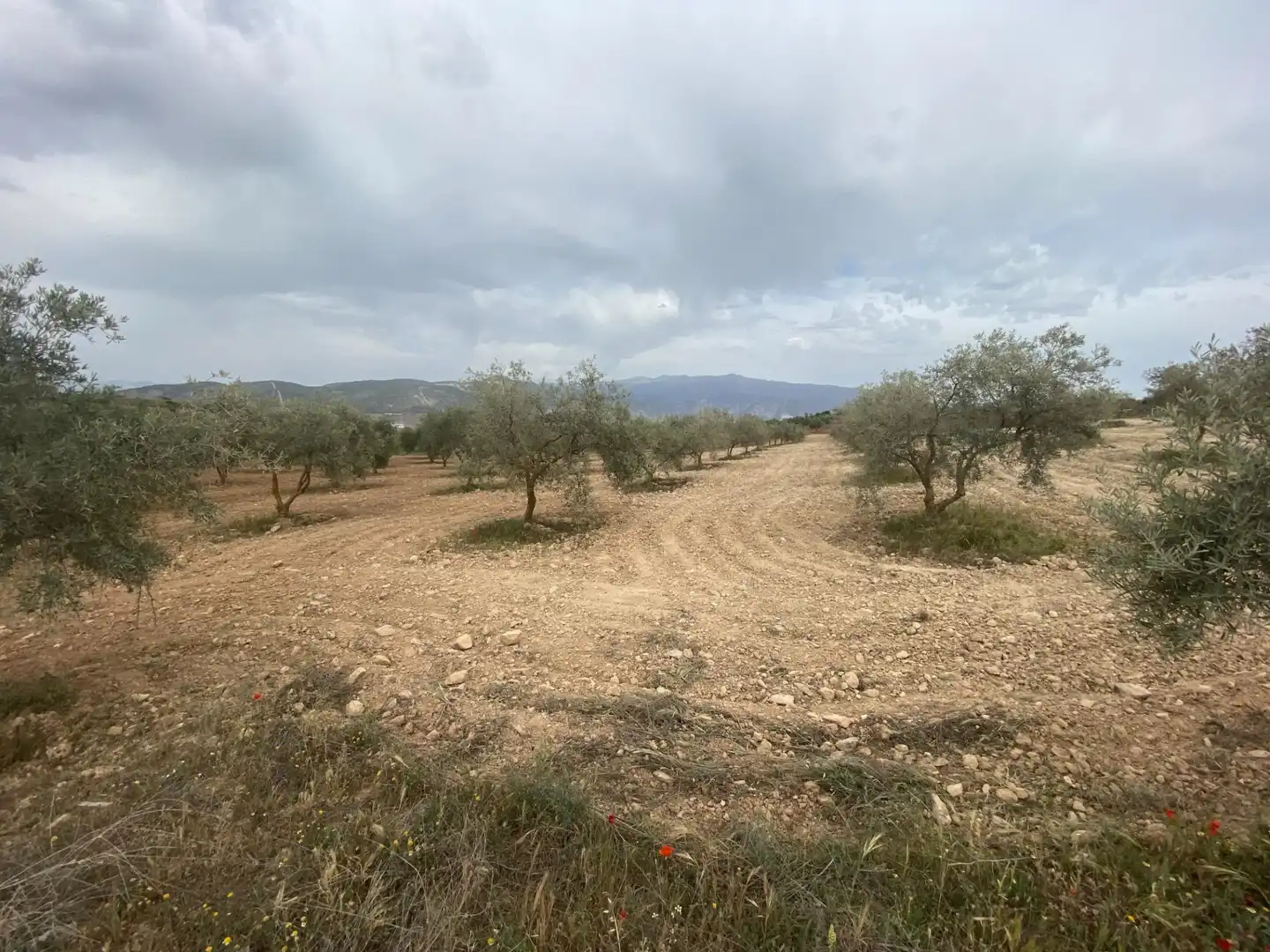 Rustikales Grundstück zum Verkauf in Polígono Polígono 16 Parcela 646 CAÑADA DE ZALDIVAR. PADU, imagen 7