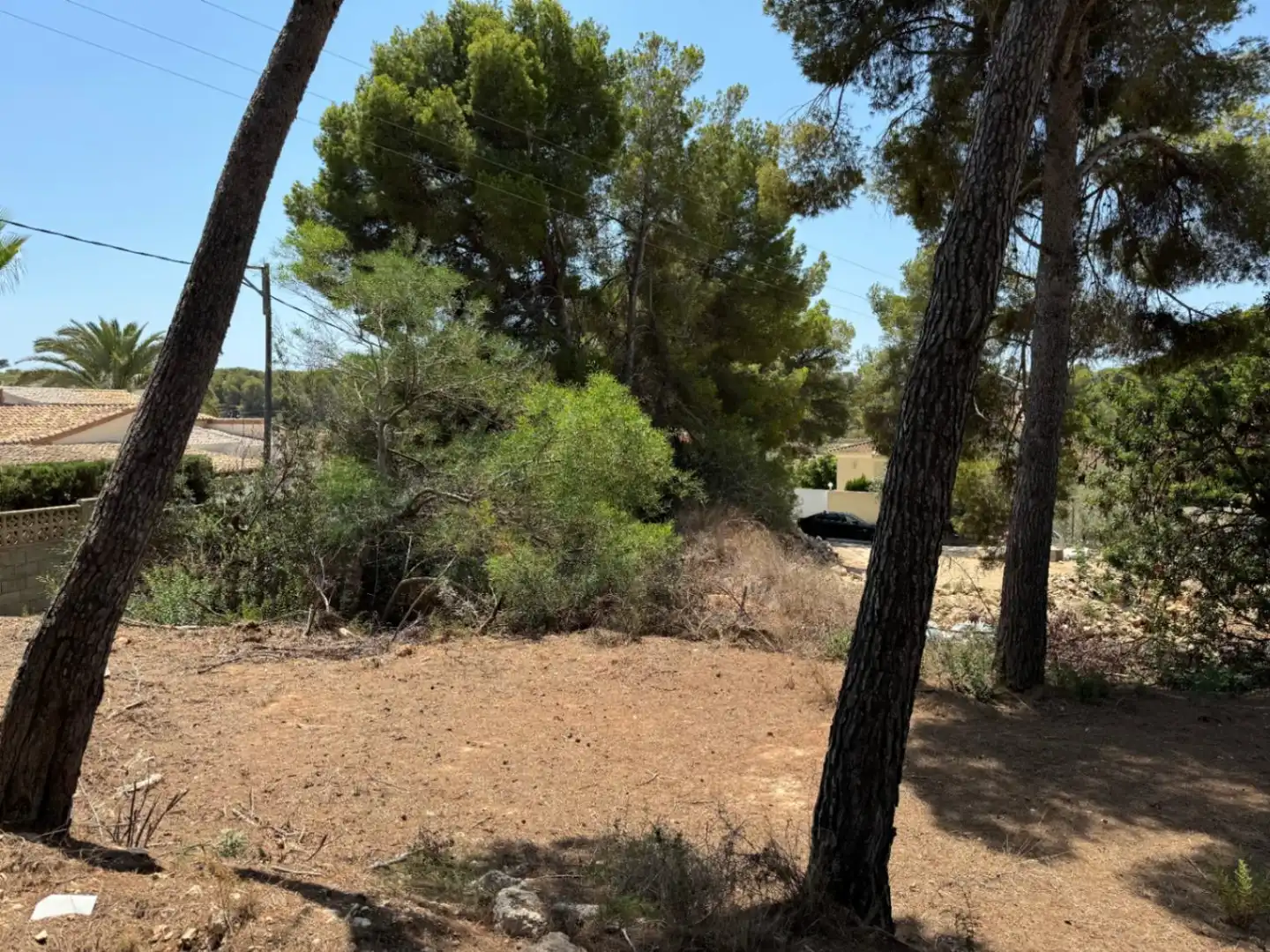 Terreny residencial en venda a Pinar del Advocat - Cometa, imagen 15