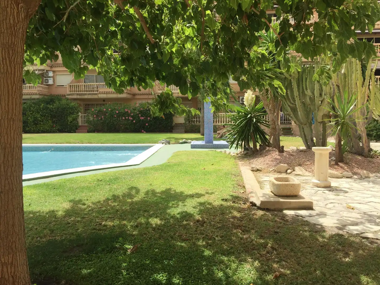 Swimming pool of Flat for sale in El Campello  with Private garden, Terrace and Balcony