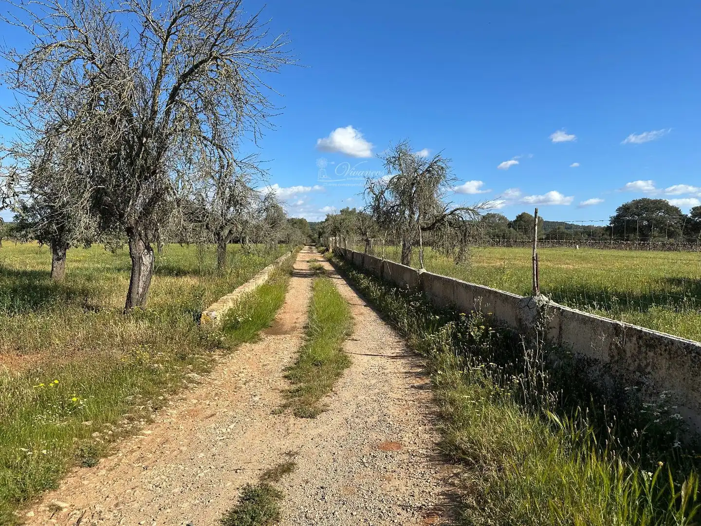 Chalet en venta en Algaida, imagen 13