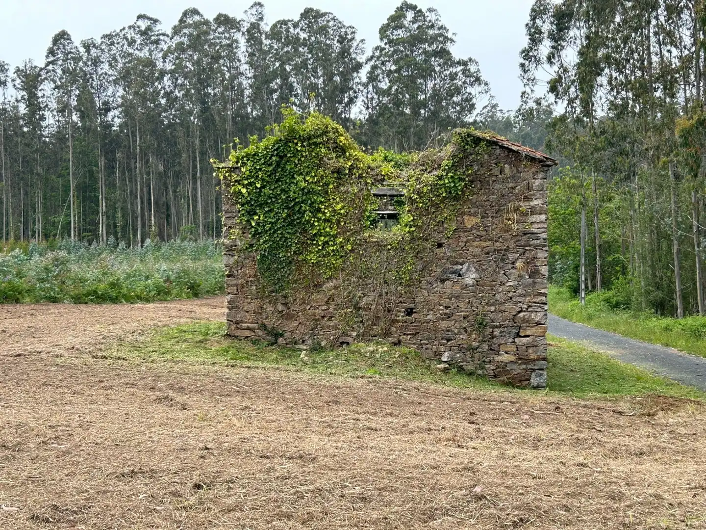 Casa amb jardí en venda a Cedeira, imagen 10