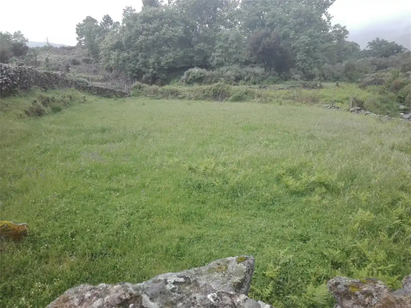 Terreno en venta en Hoyos