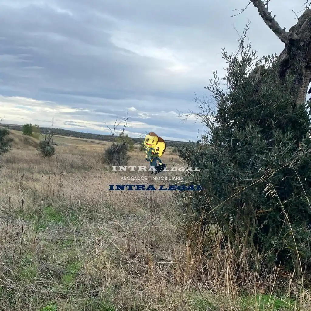 Land for sale in Miranda de Azán
