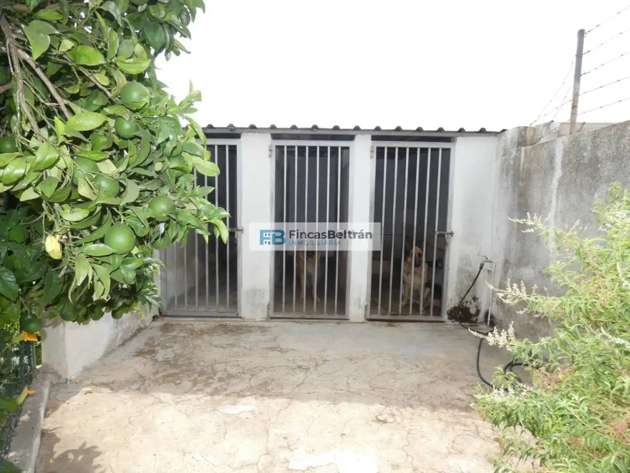 Casa o xalet en venda en Benicarló amb Aire condicionat, Calefacció i Jardí privat