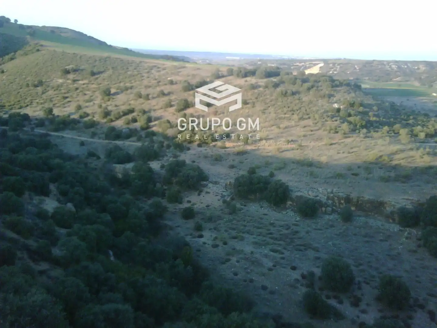 Rural land for sale in Mayor, imagen 5