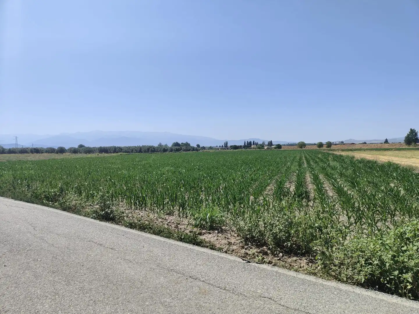 Terreni e lotti in vendita a Carretera Carretera de Pinos Puente, imagen 5