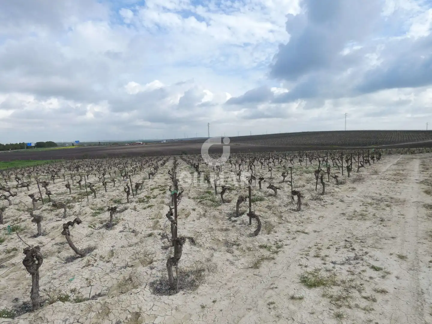 Rustikales Grundstück zum Verkauf in Ctra Jerez - Ctra del Puerto, imagen 12
