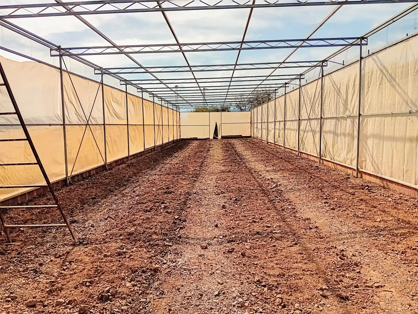 Jardín de Nave industrial en venta en Guaro