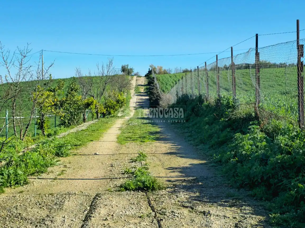 Terreno rustico in vendita a El Coronil, imagen 3