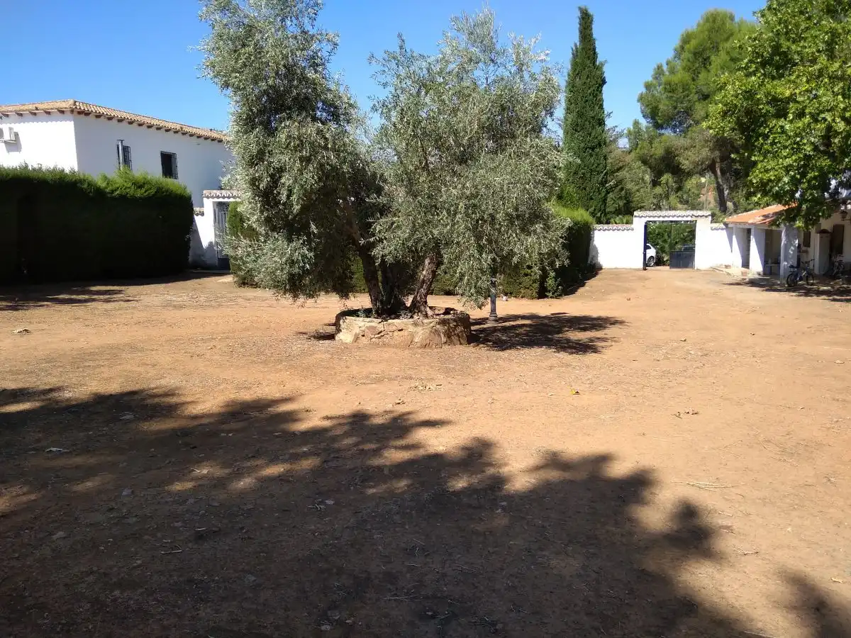 Finca rústica en venda a Ciudad Jardín