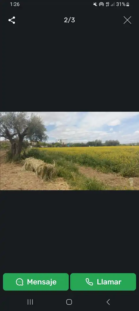Terreni e lotti in vendita a Villa de Otura, imagen 2