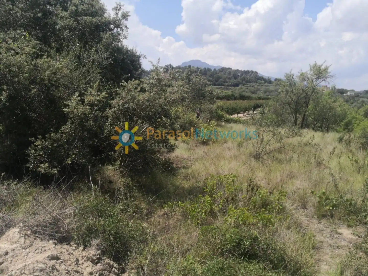Terreno en venta en Castelló de Rugat