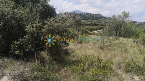 Foto 3 de Terreno en venta en Castelló de Rugat, Valencia