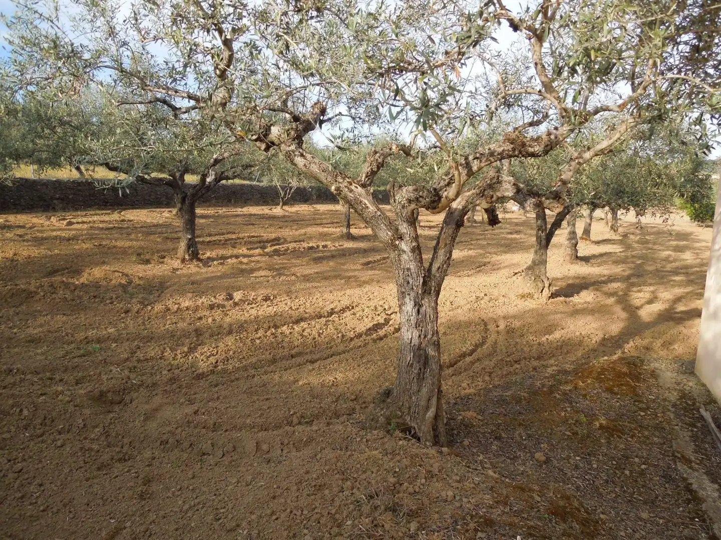 Terreno en venta en Malpartida de Plasencia