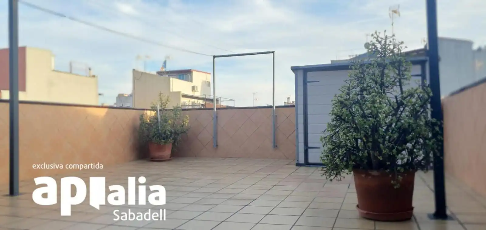 House with terrace for sale in Creu de Barberà - Sector Sud, imagen 3