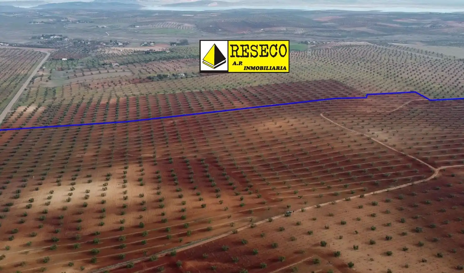 Terreni e lotti in vendita a Almendralejo