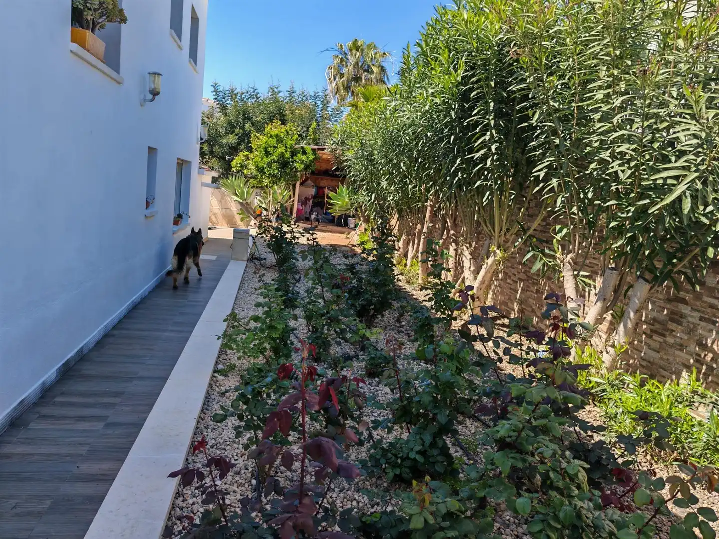 Jardí de Casa o xalet en venda en Calpe / Calp amb Aire condicionat, Calefacció i Jardí privat