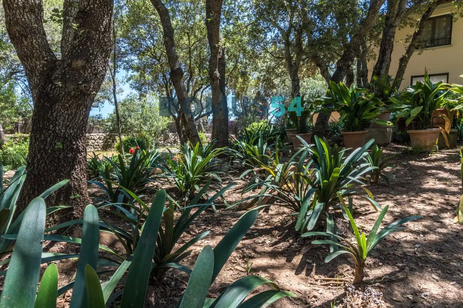 Jardín de Finca rústica en venta en Pollença con Aire acondicionado, Terraza y Piscina