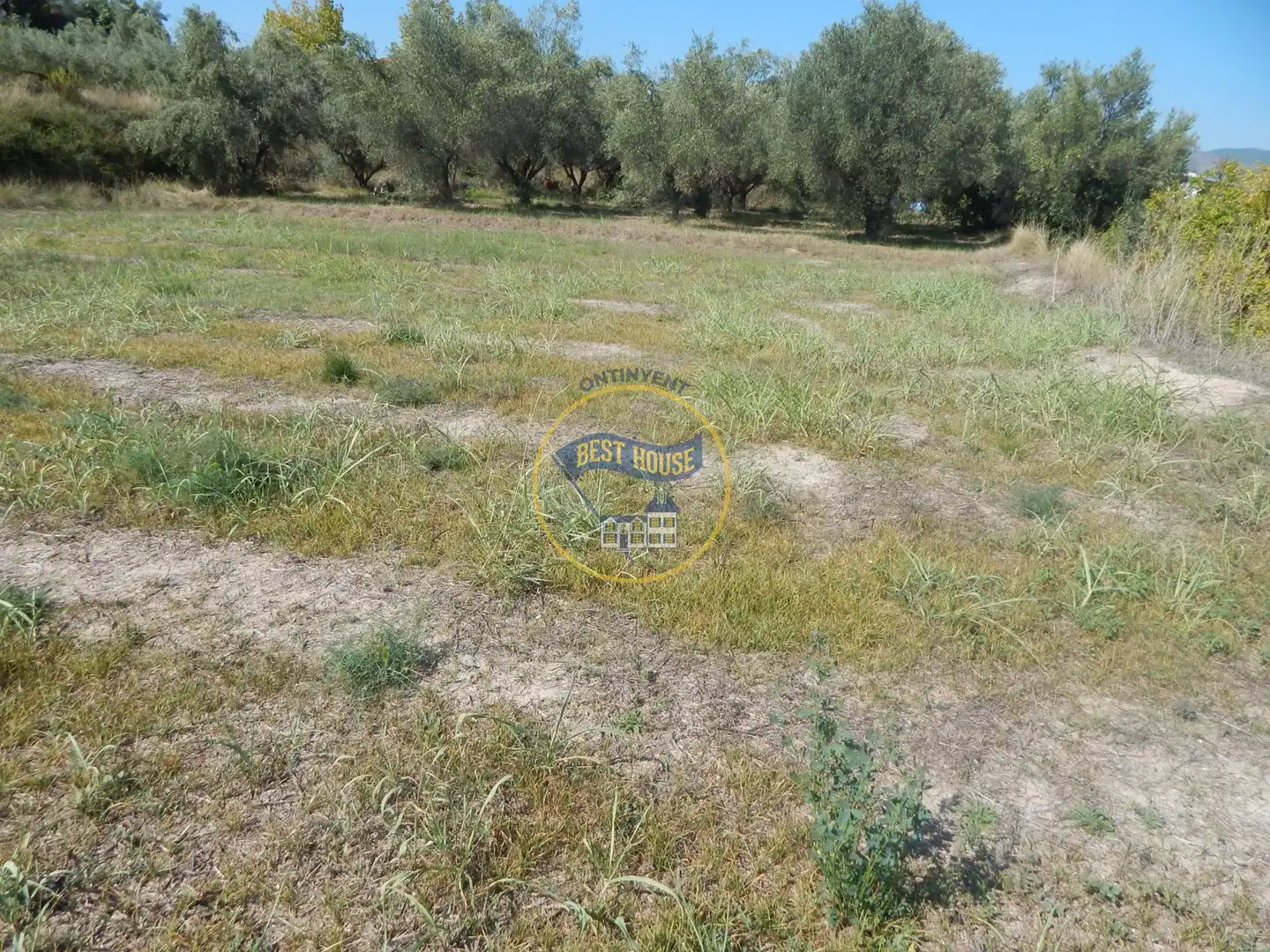 Terrain rustique à vendre à Sant Josep - Zona Hospital, imagen 6