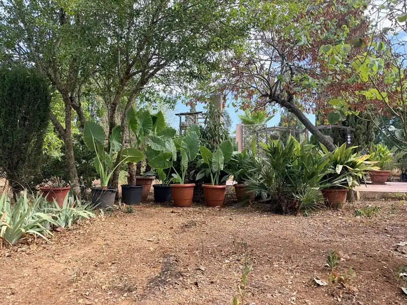 Jardín de Casa o chalet en venta en Llucmajor con Aire acondicionado, Calefacción y Jardín privado