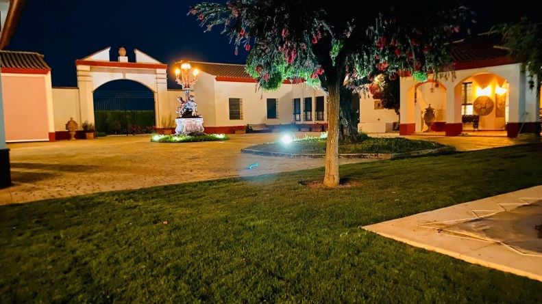 Garden of Land for sale in Espartinas
