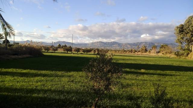 Terreno en Venta en Crevillent