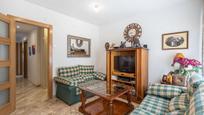 Sala d'estar de Pis en venda en  Granada Capital amb Calefacció, Parquet i Terrassa