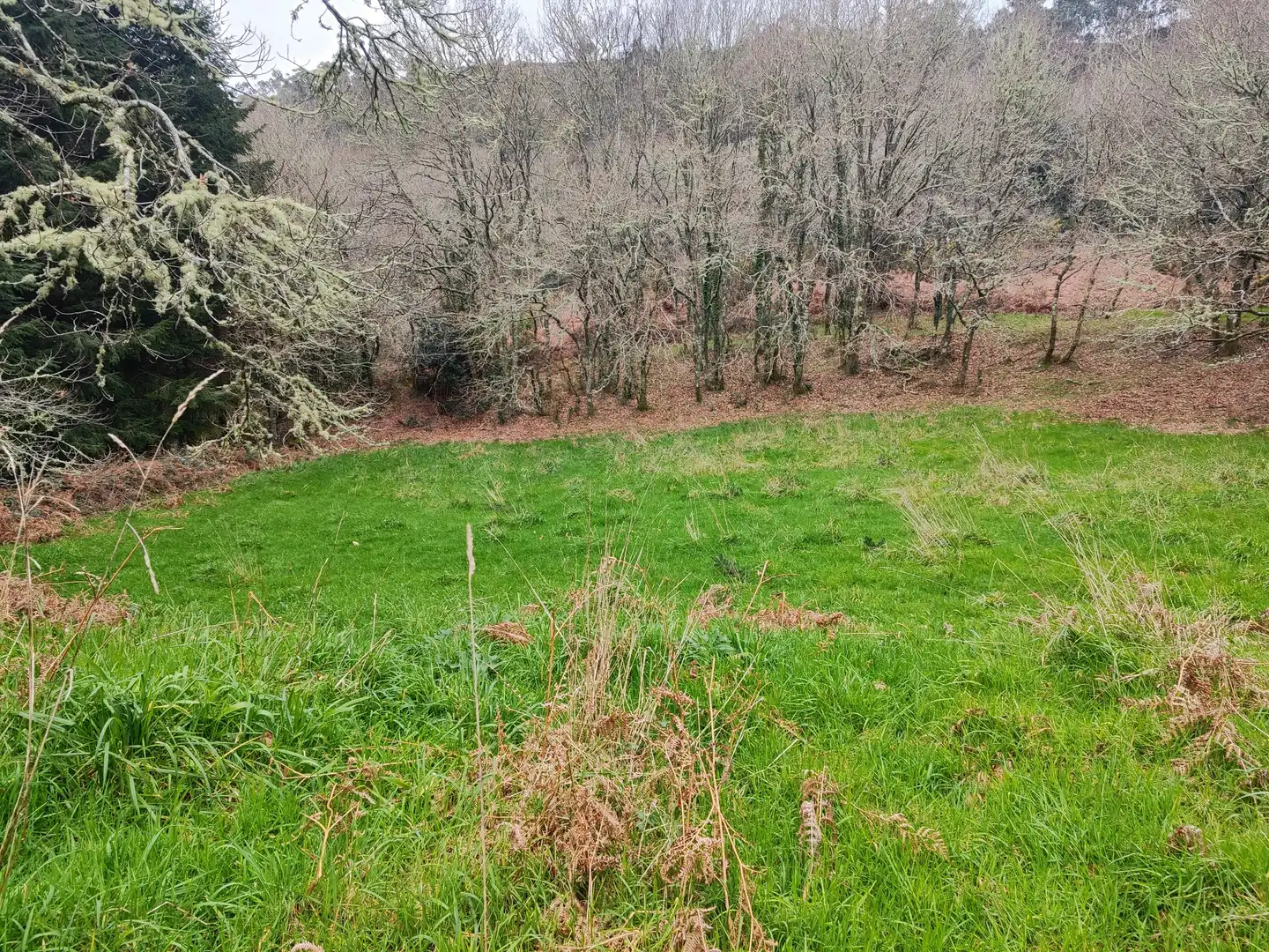 Finca rústica en venda en A Capela 