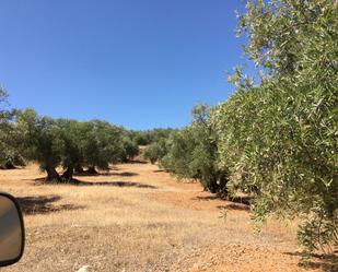 Terreny en venda en Torres