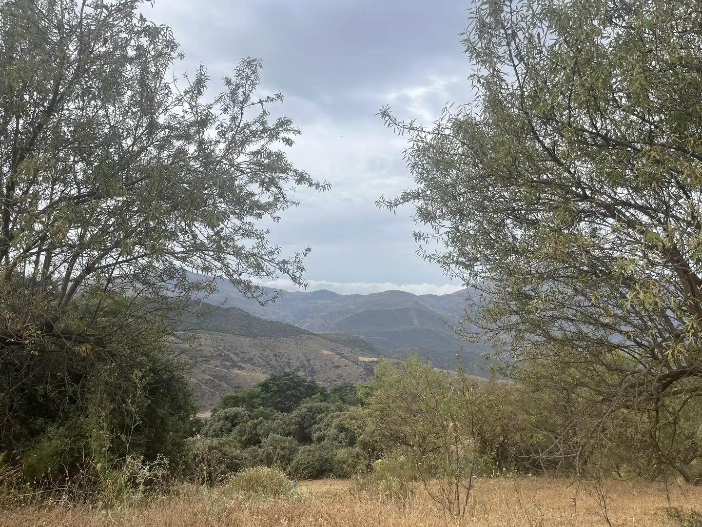 Vista exterior de Terreno en venta en La Taha