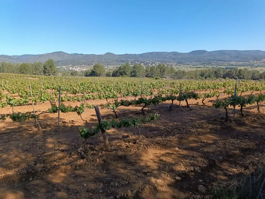 Rustikales Grundstück zum Verkauf in Sant Julià, imagen 9