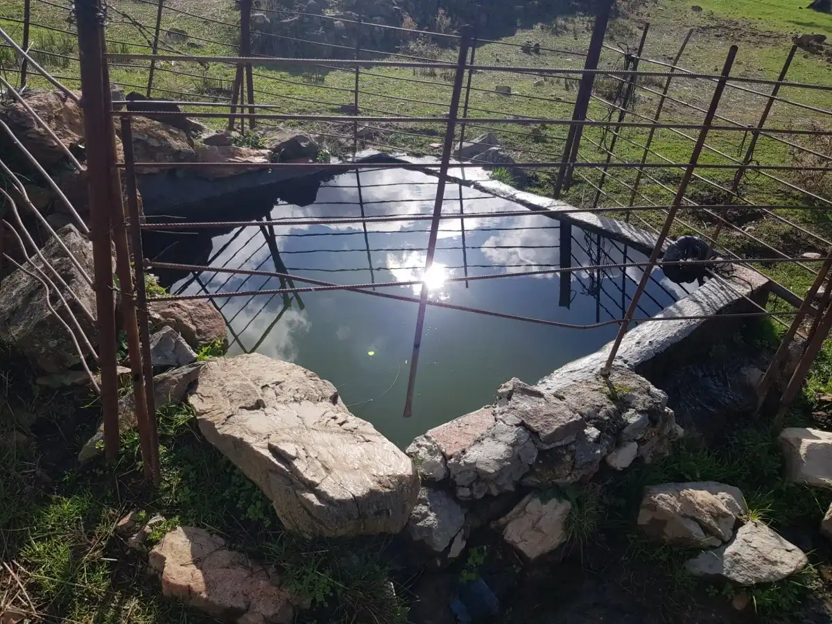 Schwimmbecken von Country house zum Verkauf in Villanueva del Rey mit Privatgarten und Abstellraum