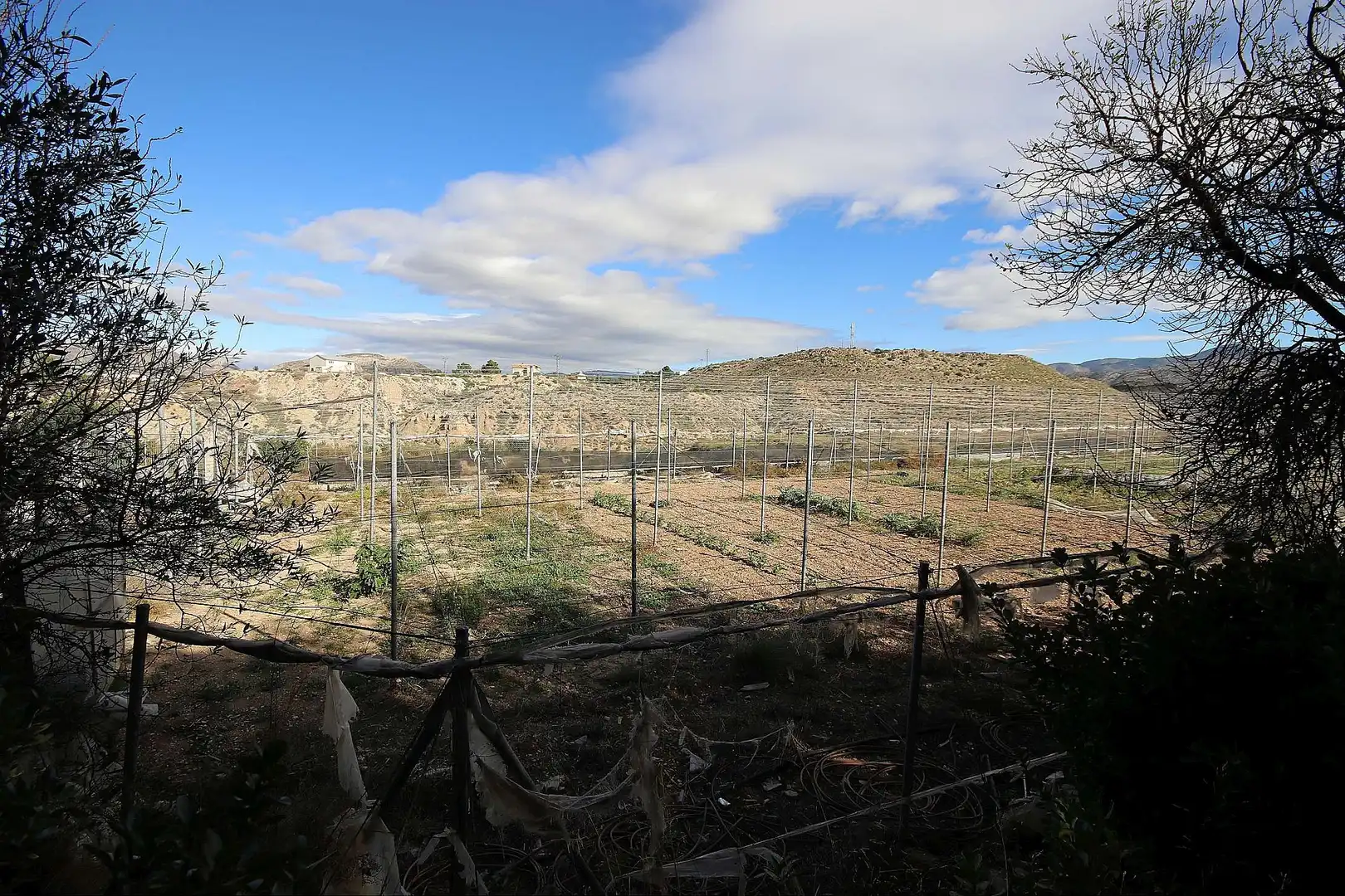 Villa in vendita a Monóvar  / Monòver, imagen 18