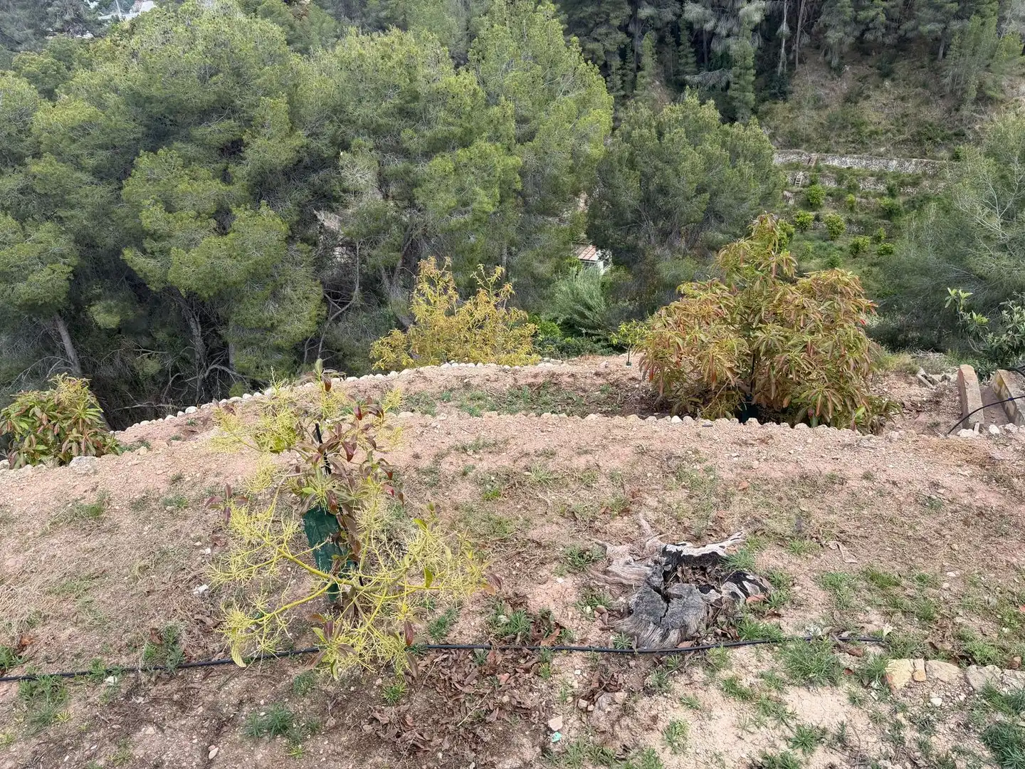 Finca rústica en venta en Polop
