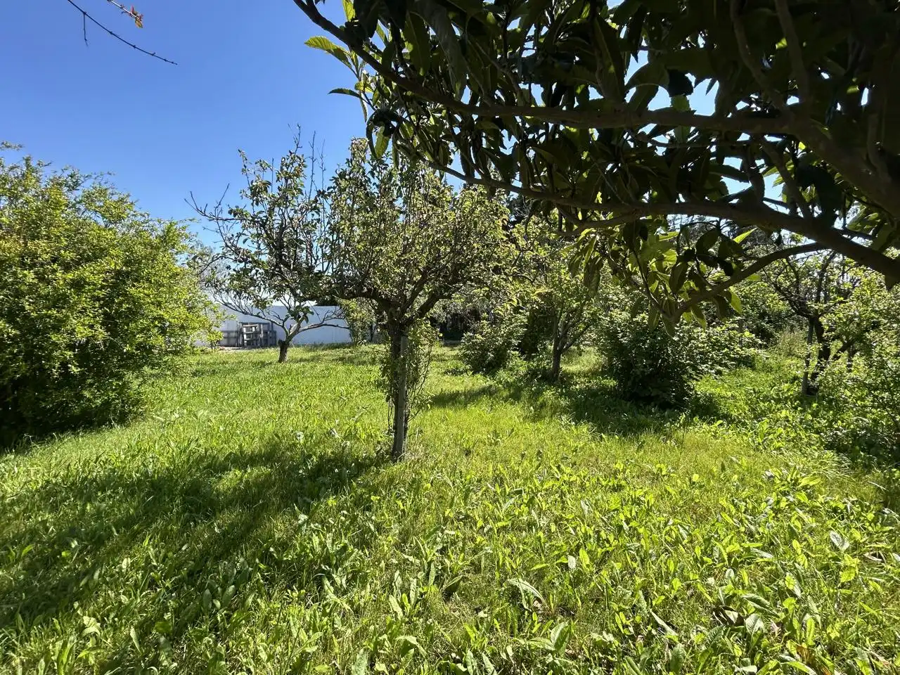 Finca rústica en venda en Tudela amb Piscina