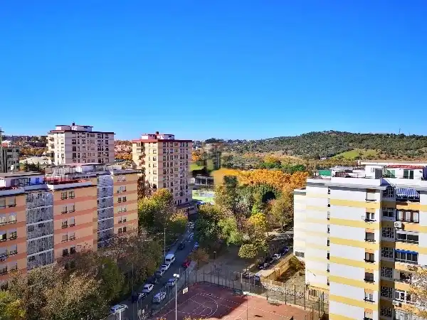 Pis amb ascensor en venda a Avenida Hernan Cortes 5