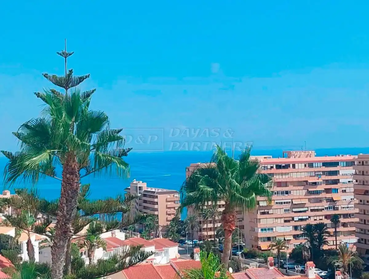 Adosado con piscina en venta en La Mata, imagen 3