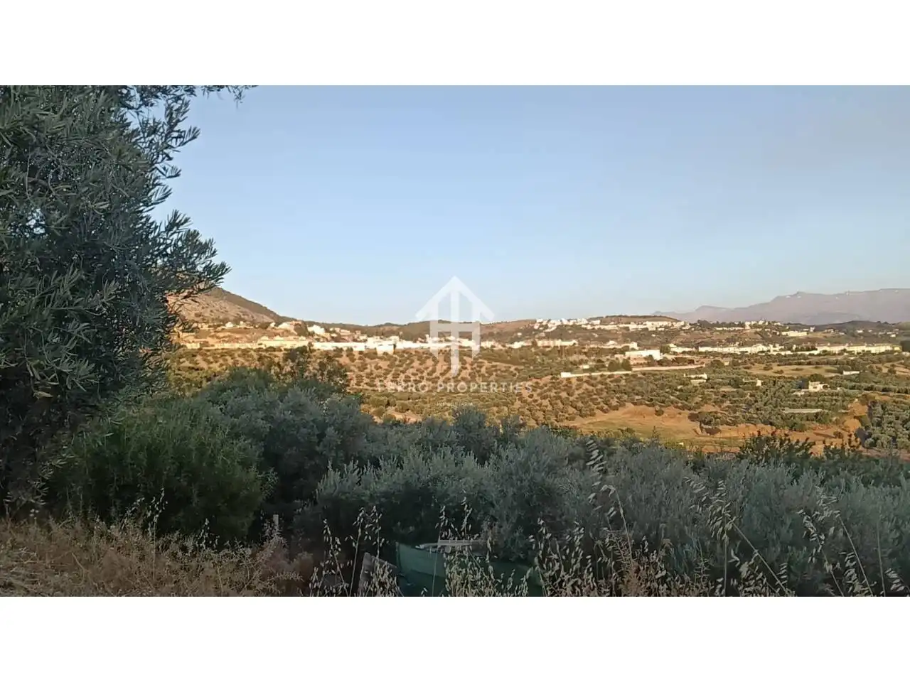 Terreno rustico in vendita a Camino Yeseros de Nivar 1