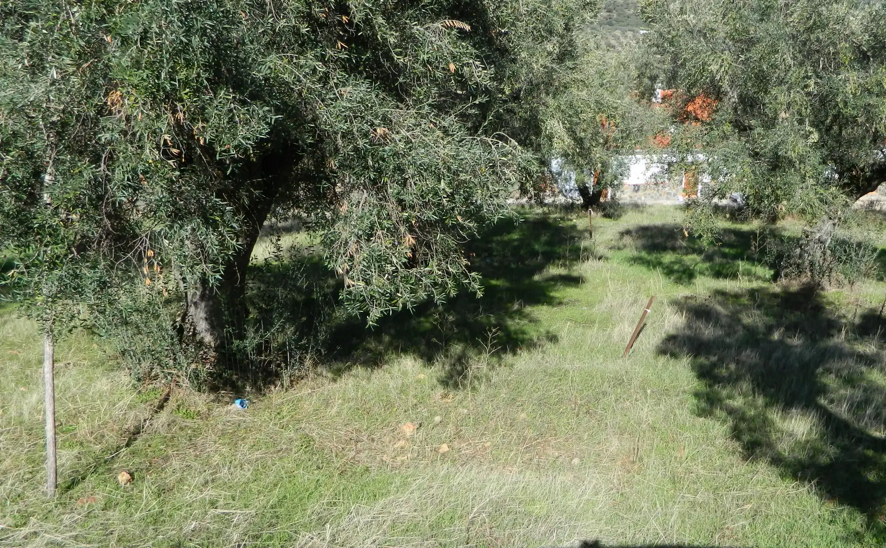 Terreno residencial en venta en N/A, imagen 3