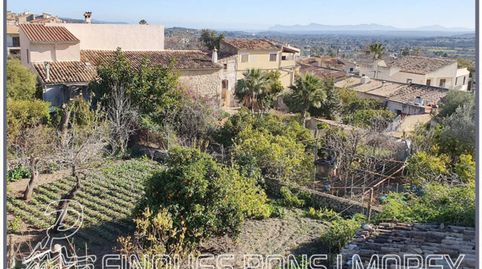 Casa en venta en Selva, immagine 2
