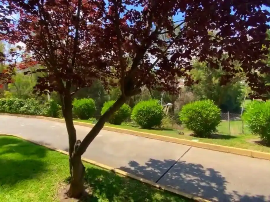 Apartament amb piscina de lloguer a Ronda del golf oeste 11, imagen 10